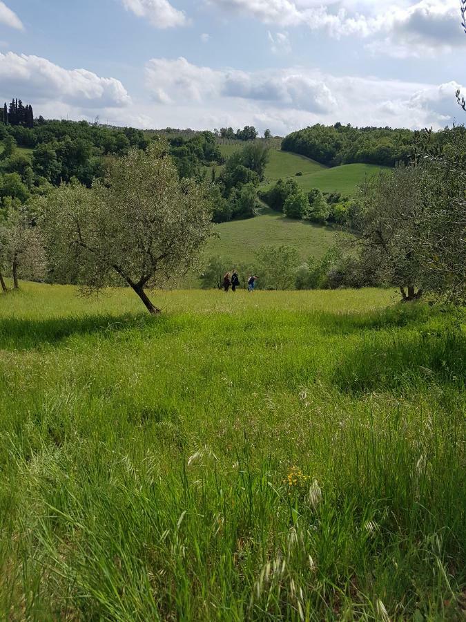 La Rocca Chianti Hospitality Hotel Tavarnelle Val di Pesa Eksteriør billede